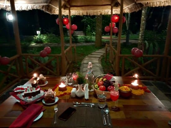 Romantic Kerala Vacay
