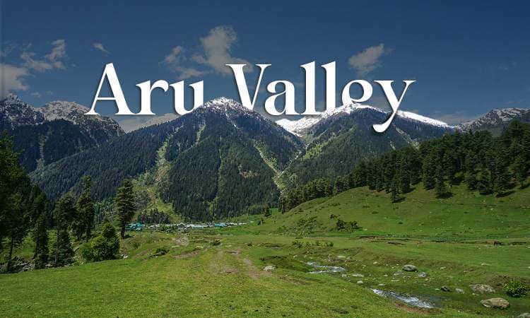 Relaxing Holiday in Kashmir