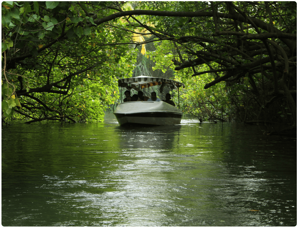 Romantic Kerala with Flighting Resort