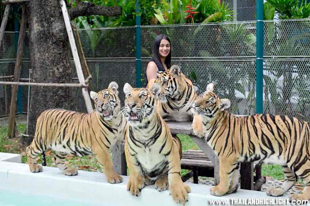 Mesmerizing Pattaya and Bangkok