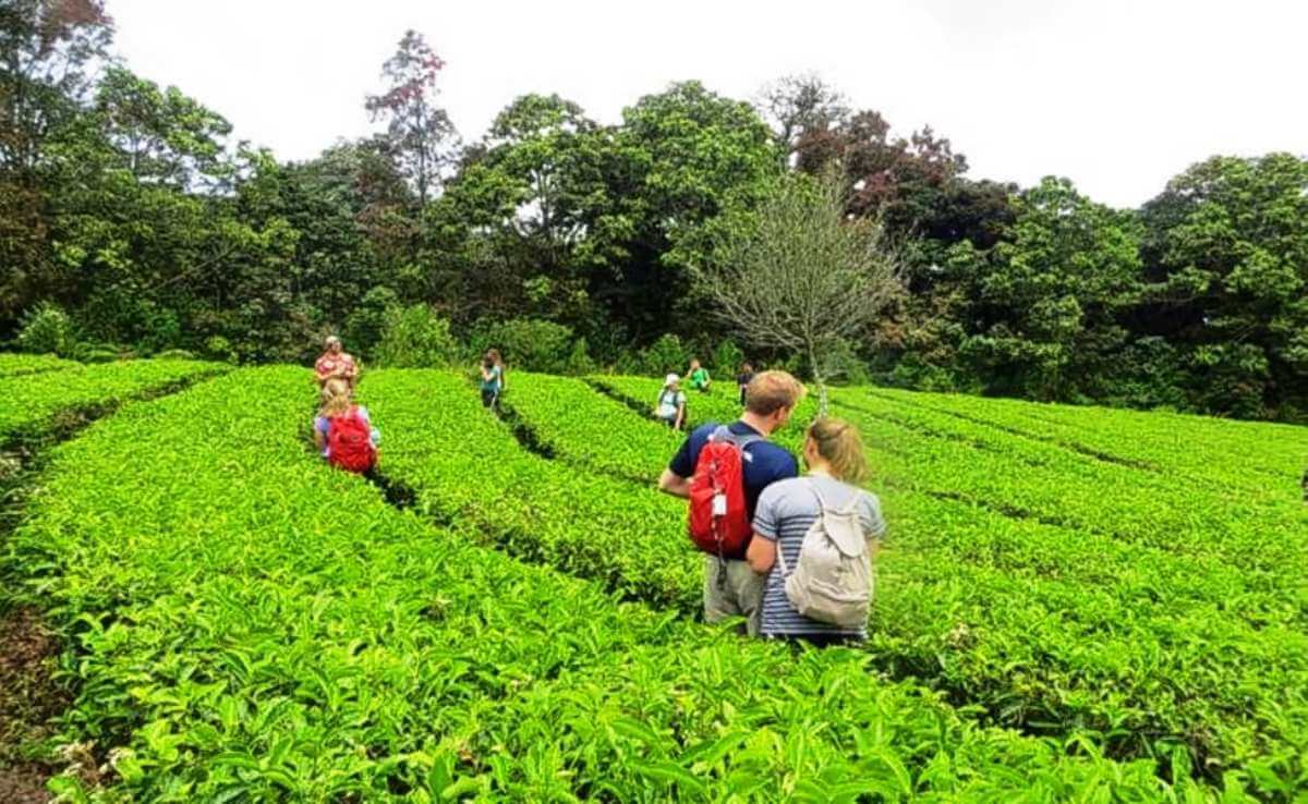 Vibrant Kerala